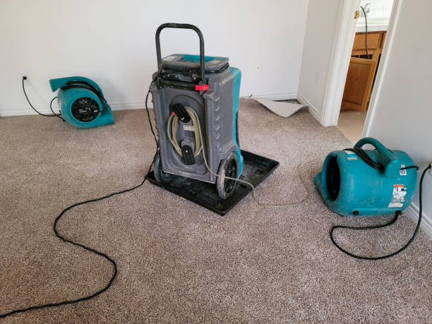 Best 24-hour water damage restoration  in Dade City North, FL