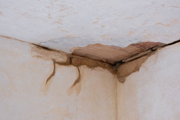 Professional Water damage restoration in Dade City North, FL