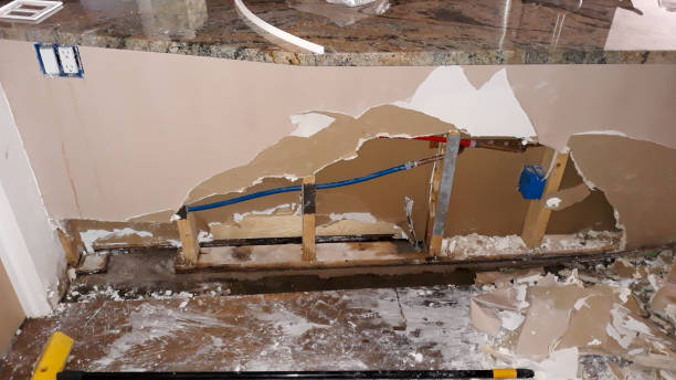 Best Commercial water damage restoration  in Dade City North, FL