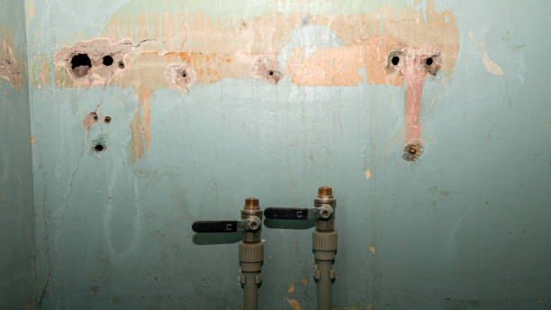 Best Water damage restoration near me  in Dade City North, FL
